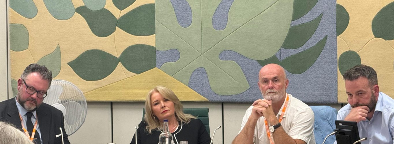 WhatsApp Image 2025-05-21 at 14.13.04